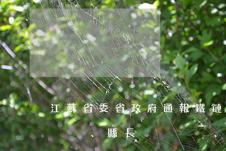江蘇省委省政府通報“鐵鏈女”事件：縣委書記、縣長、派出所長被撤職，鎮(zhèn)書記、鎮(zhèn)長被紀檢監(jiān)察留置！